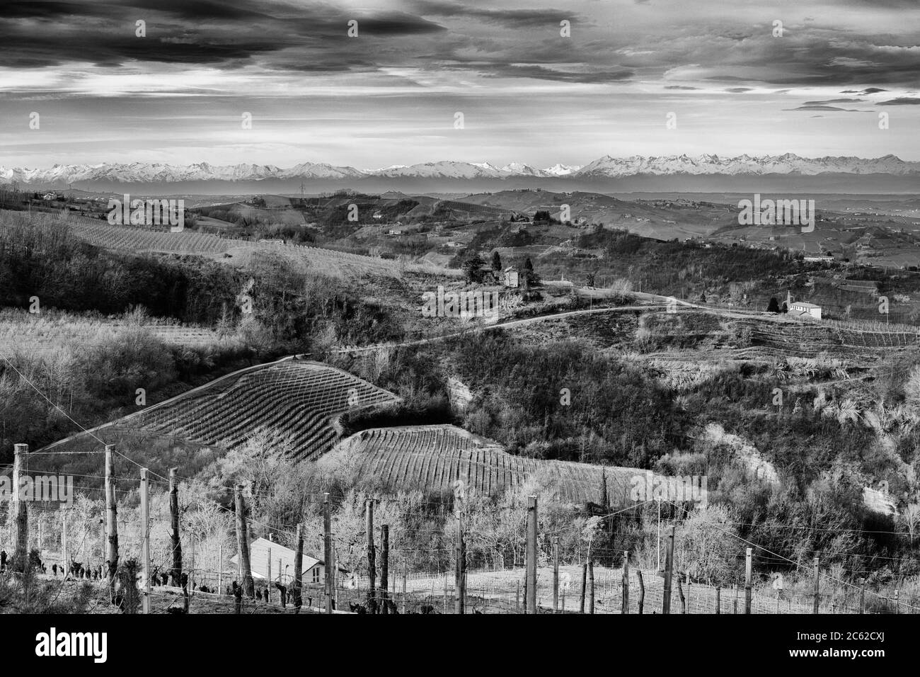 Paysage noir et blanc. Vue panoramique sur la campagne de Langhe près de Cassinasco, Piémont, Italie Banque D'Images