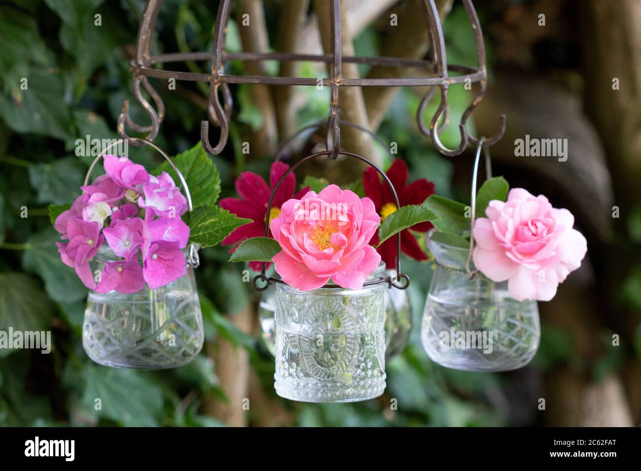 décoration d'été avec roses roses roses et fleurs d'hortensia en verre vases sur sèche-herbes Banque D'Images
