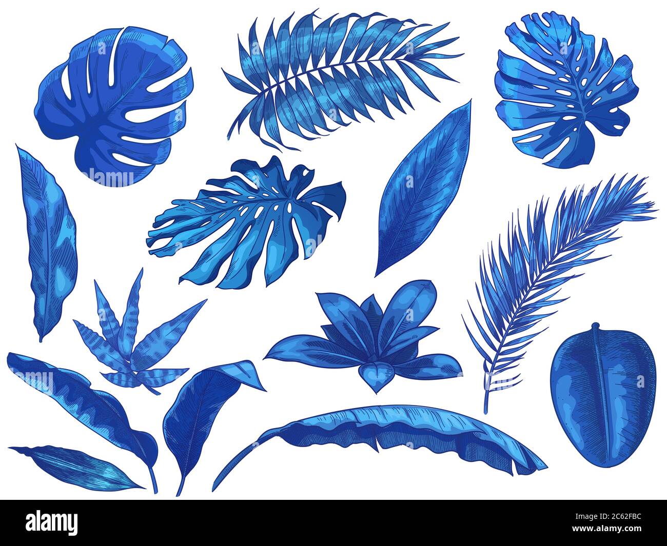 Feuilles tropicales bleues. Jeu d'illustrations vectorielles isolées à fleurs, de feuilles de palmier exotiques et de monstères botaniques Illustration de Vecteur Feuilles tropicales bleues. Jeu d'illustrations vectorielles isolées à fleurs, de feuilles de palmier exotiques et de monstères botaniques Illustration de Vecteur