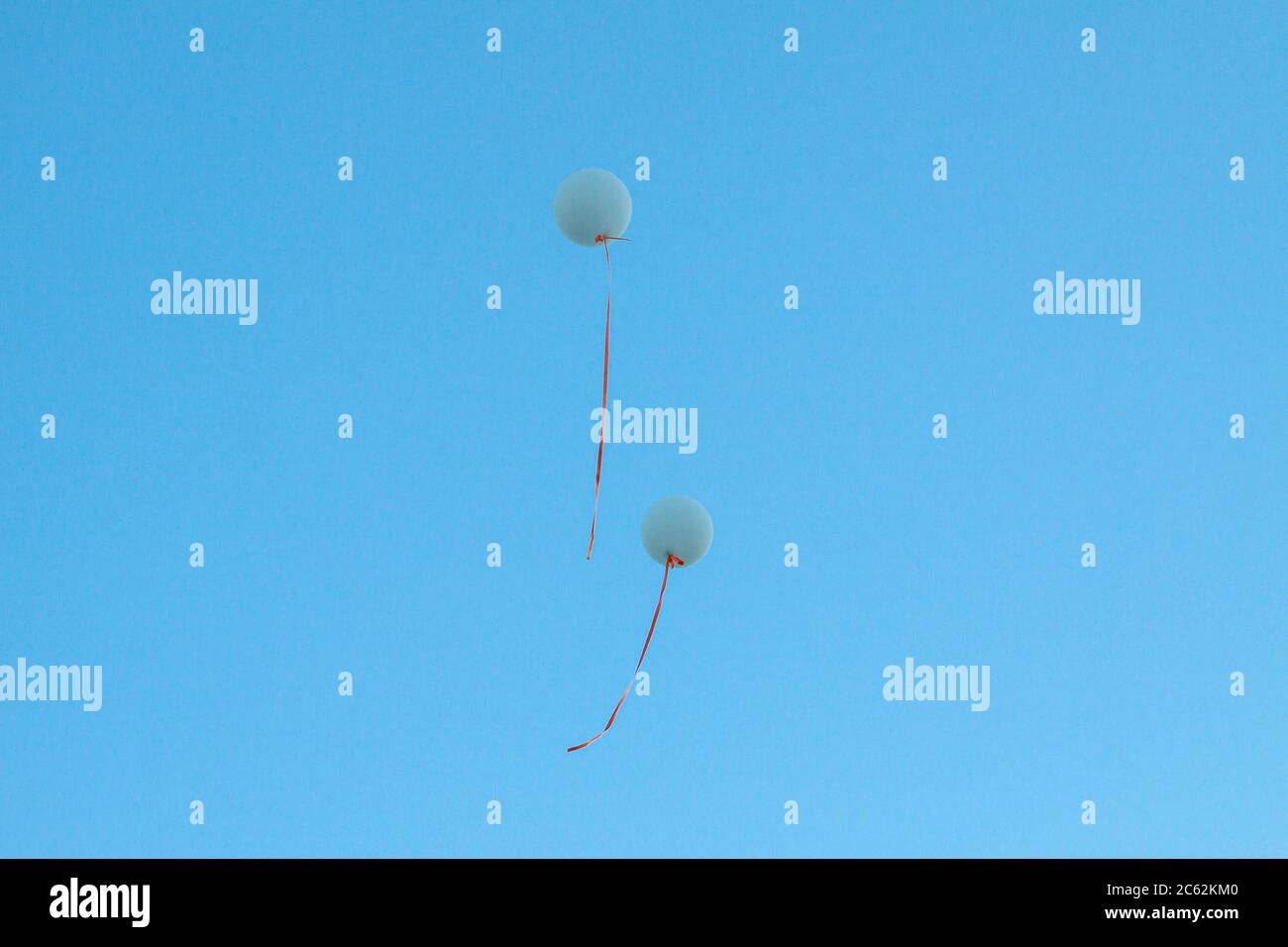 Grands pelons bleus à l'hélium avec rubans orange dans le ciel bleu sans nuages. Concept d'idée de mariage, arrière-plan Banque D'Images