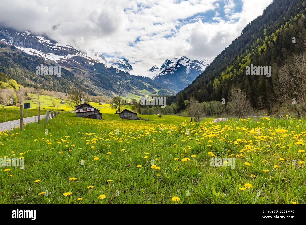 Vue de printemps classique du paysage alpin suisse montrant des