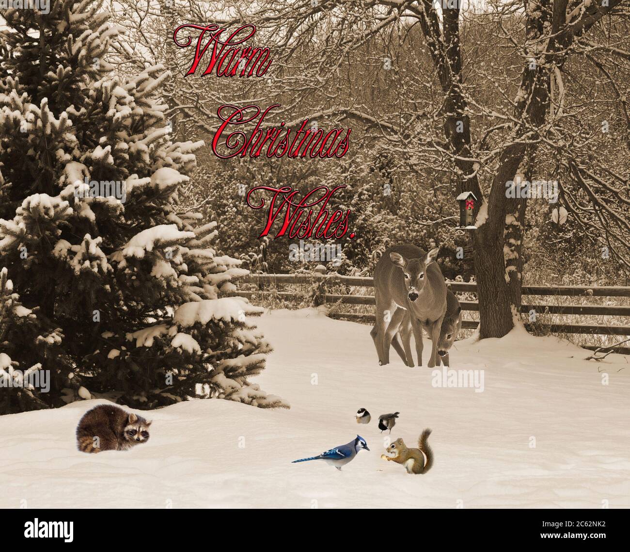 Carte De Noel Avec Animaux Se Rassemblant Dans La Neige Avec Texte De Voeux Chaleureux Photo Stock Alamy