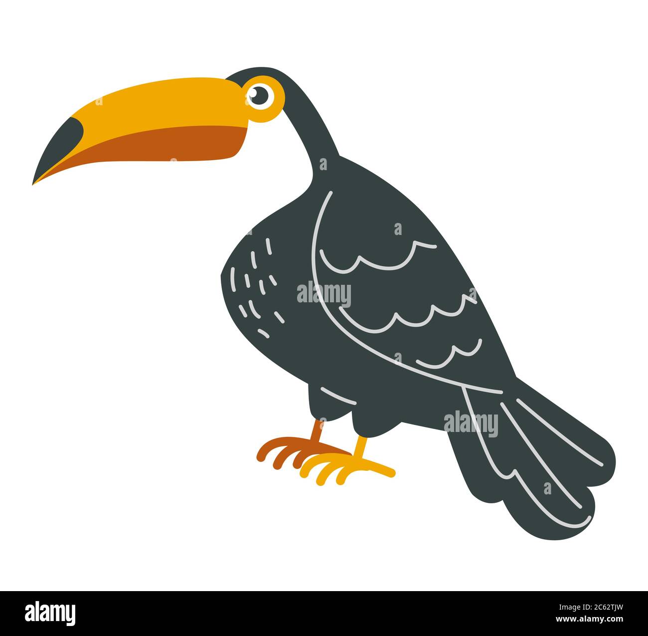 Toucan oiseau, faune tropicale avec vecteur de plumage noir Illustration de Vecteur