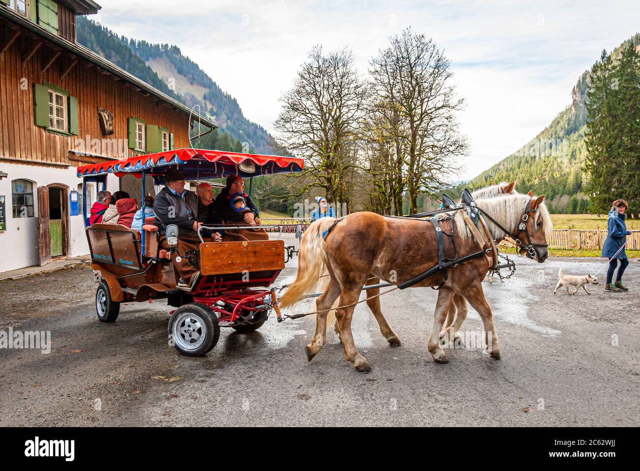 Une calèche transporte les invités le long de la route vers l'Oy-Alm près d'Oberstdorf, en Bavière, en Allemagne ; ceux qui le préfèrent peuvent emprunter le chemin à pied. Banque D'Images