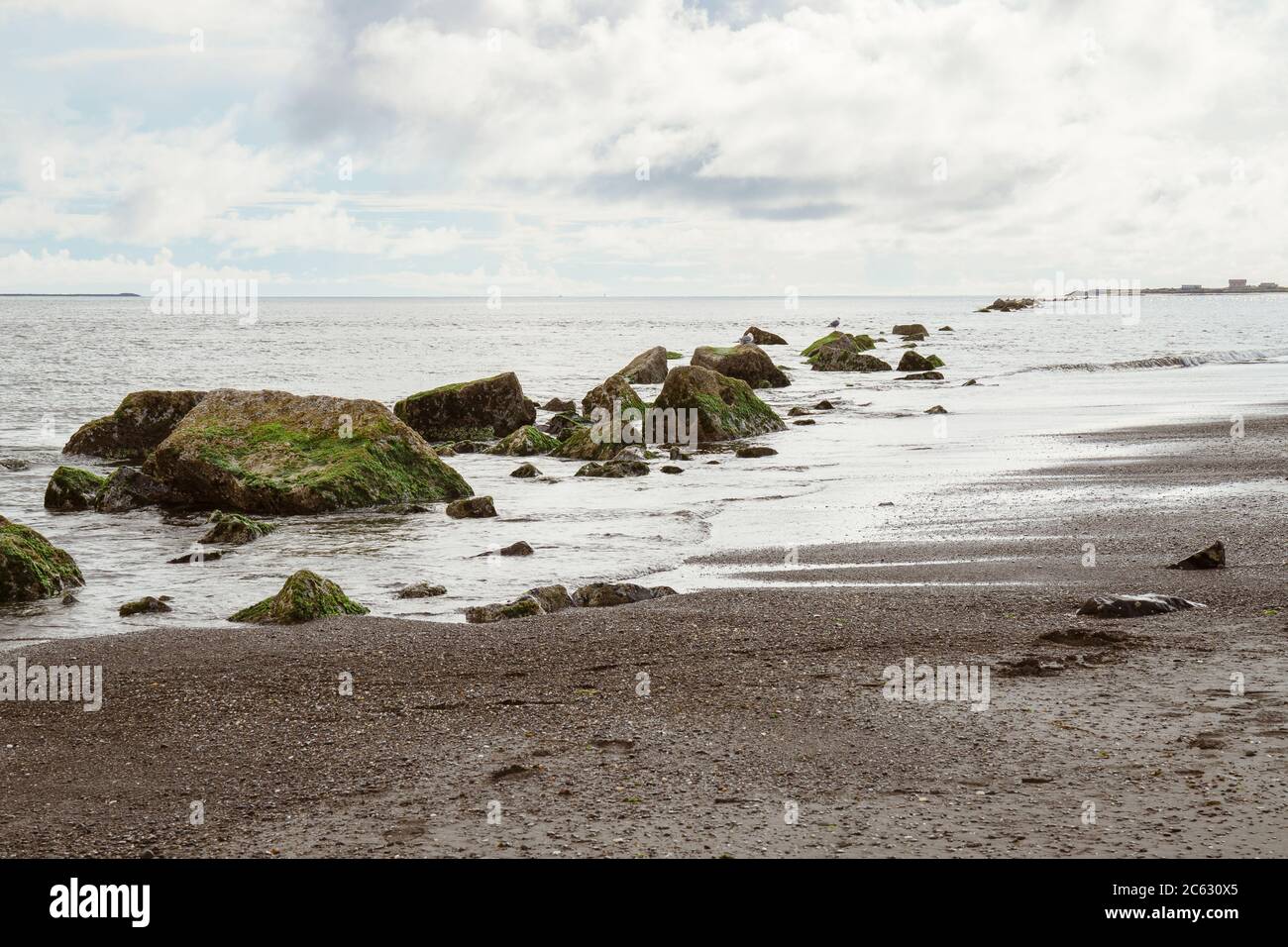Rochers verts couverts d'algues qui bordent la plage de l'océan Banque D'Images