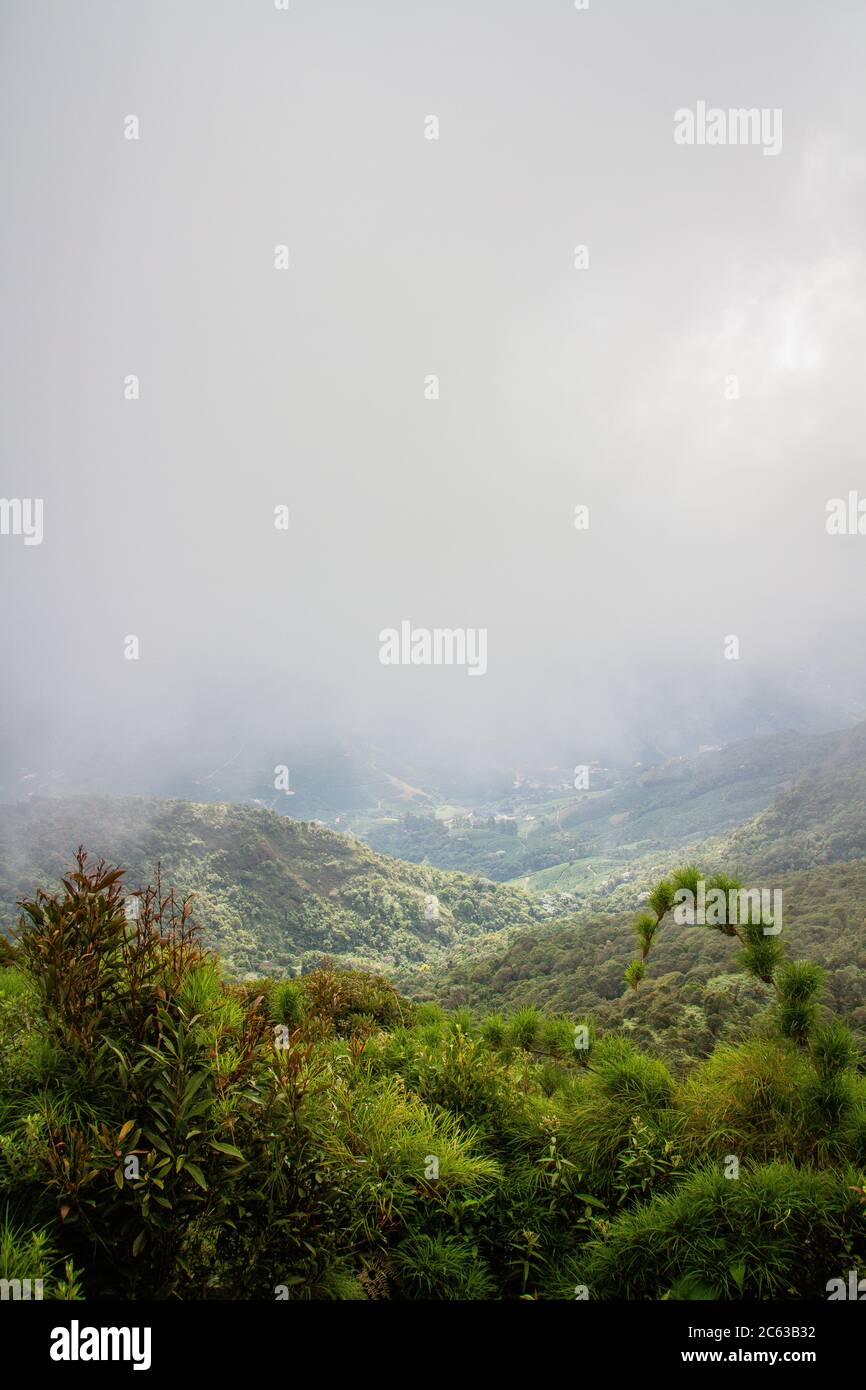 Vue sur les montagnes brumeuses de Minas Gerais, Brésil Banque D'Images