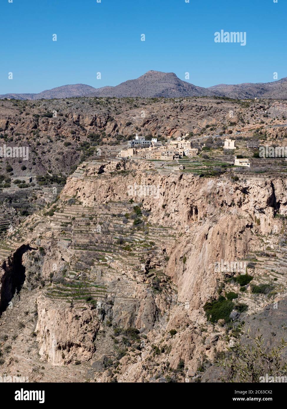 Des jardins en terrasse bordent les falaises près des villages traditionnels du plateau de Sayq, Sultanat d'Oman. Banque D'Images