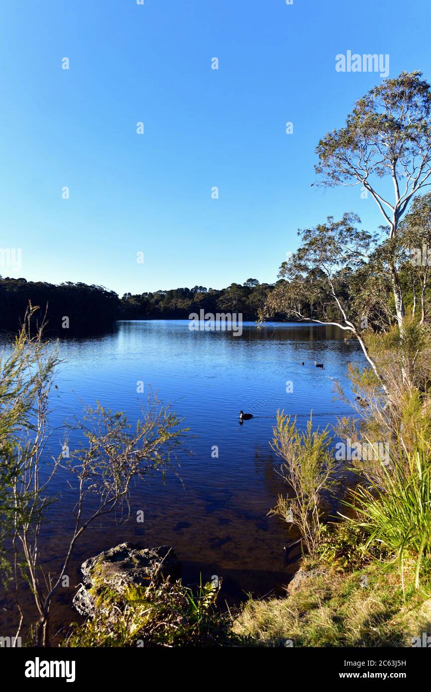 Vue sur le lac Wentworth Falls dans les Blue Mountains à l'ouest de Sydney, en Australie Banque D'Images