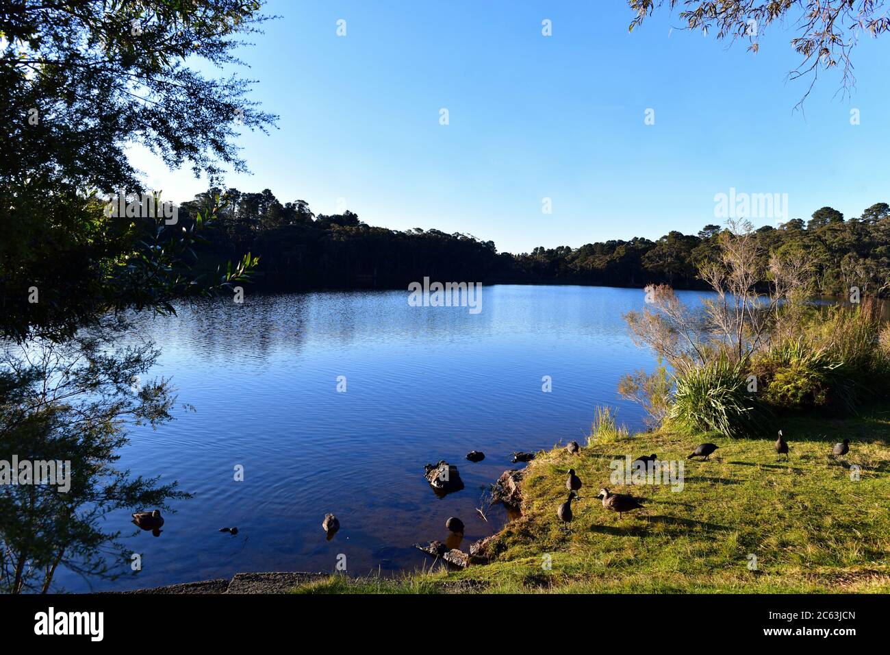 Vue sur le lac Wentworth Falls dans les Blue Mountains à l'ouest de Sydney, en Australie Banque D'Images