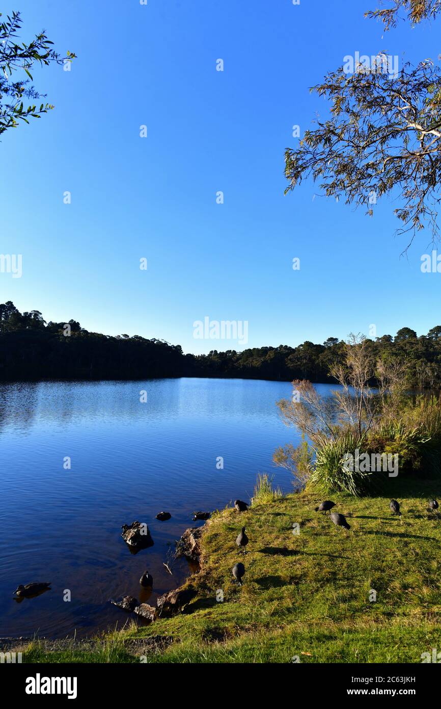 Vue sur le lac Wentworth Falls dans les Blue Mountains à l'ouest de Sydney, en Australie Banque D'Images