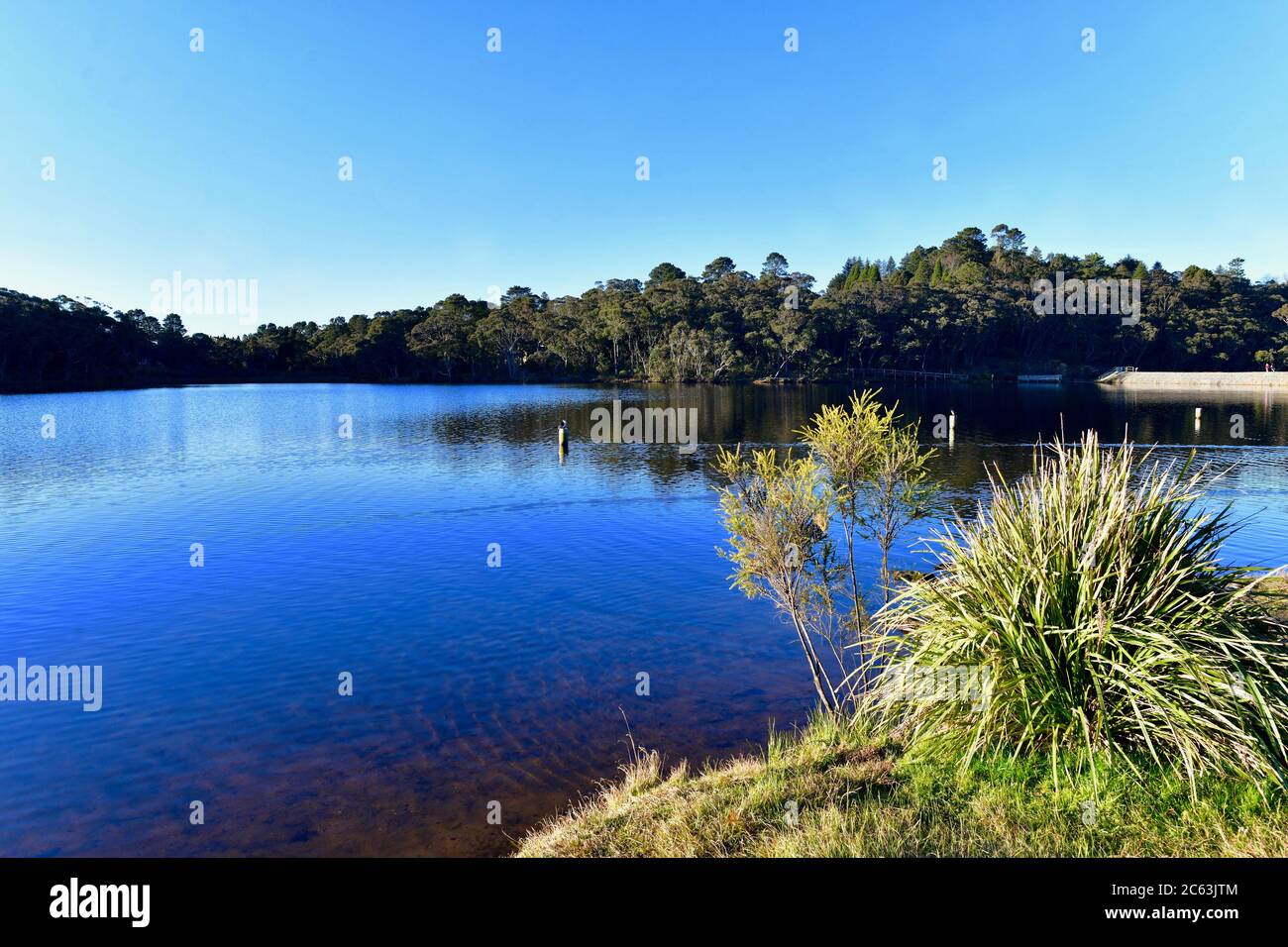 Vue sur le lac Wentworth Falls dans les Blue Mountains à l'ouest de Sydney, en Australie Banque D'Images