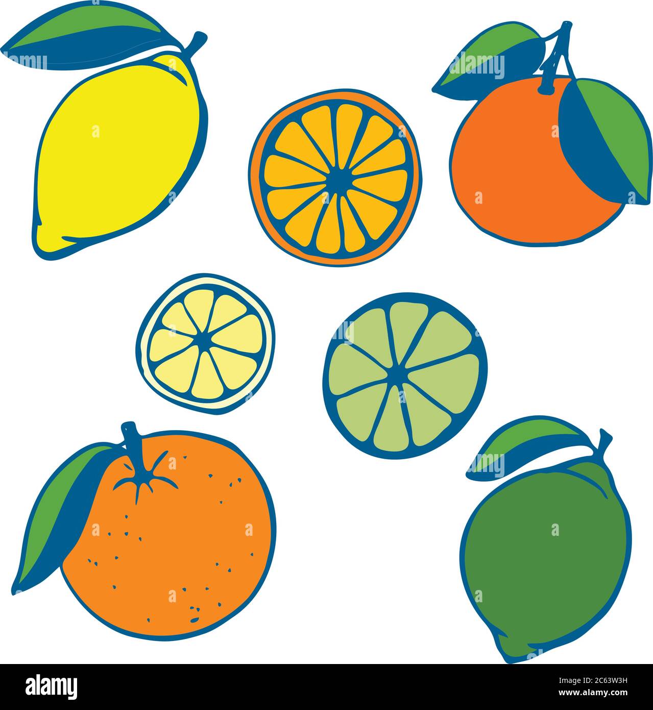Un ensemble d'agrumes peints. Citron et citron vert, orange et pamplemousse. Fruits entiers et moitiés. Illustration vectorielle Illustration de Vecteur