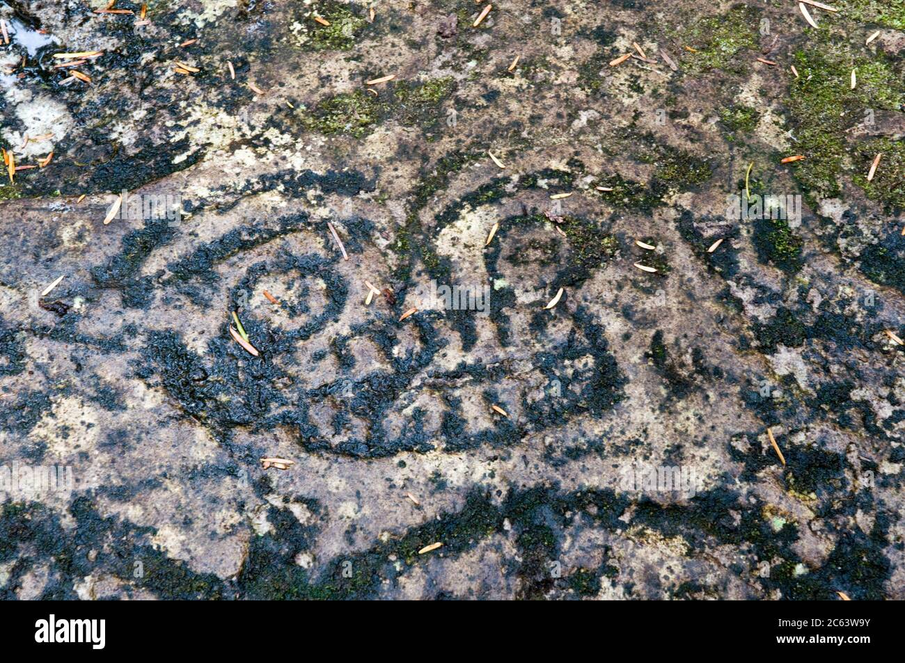 Pétroglyphe préhistorique antique sculpté par des peuples autochtones des Premières nations dans la région de la forêt tropicale du Grand Ours, Bella Coola, Colombie-Britannique, Canada. Banque D'Images