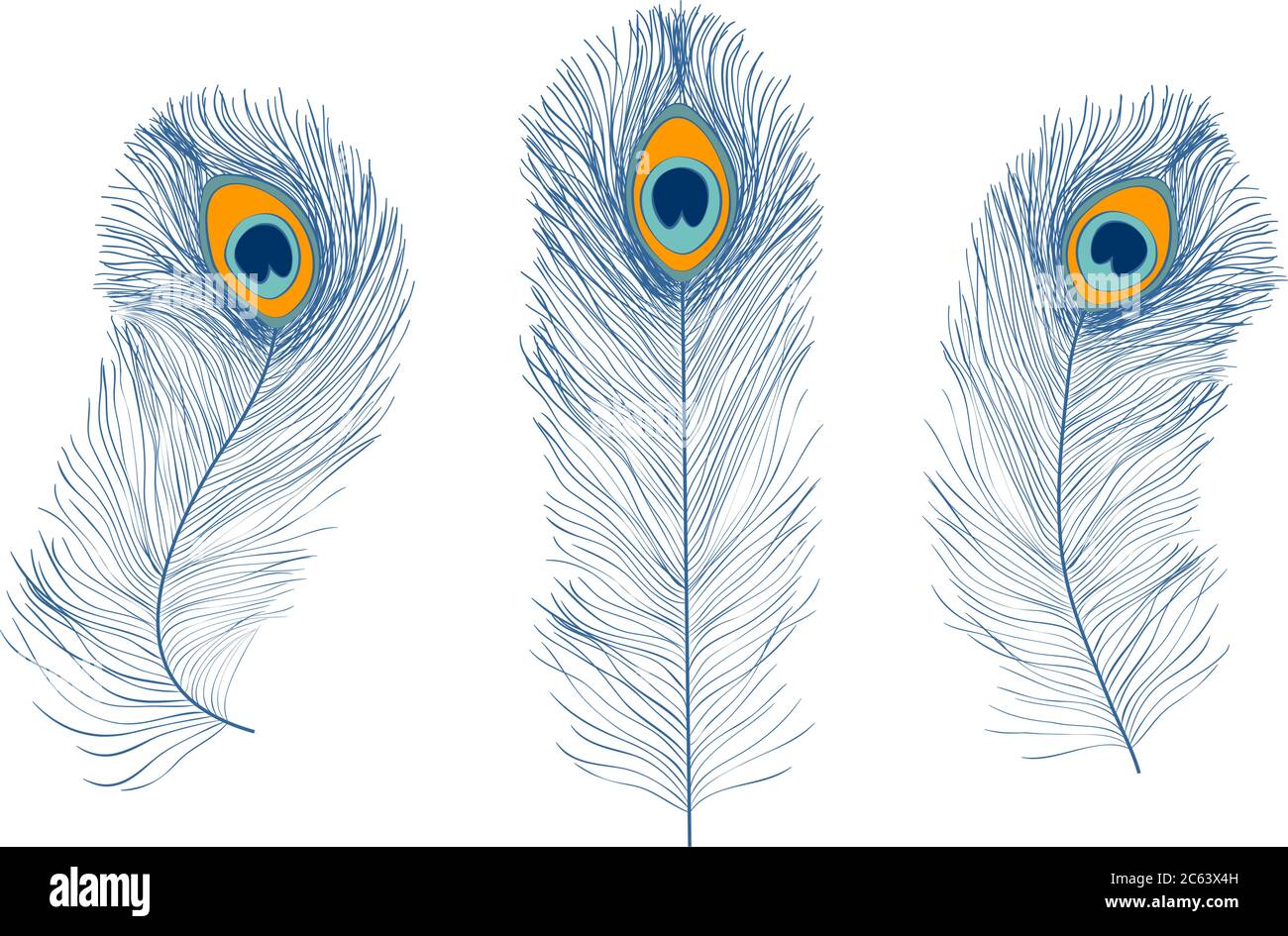 Plumes de paon, style plat. Droit et incurvé. Plumes bleues d'oiseaux exotiques. Illustration de Vecteur