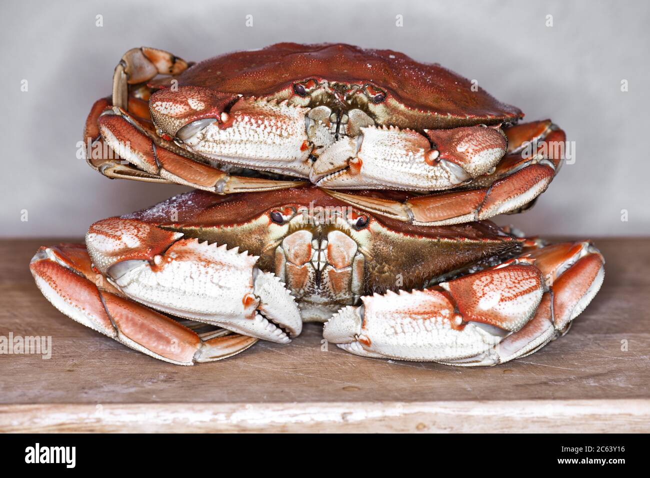 Deux crabes Dungeness cuits sur une planche à découper Banque D'Images