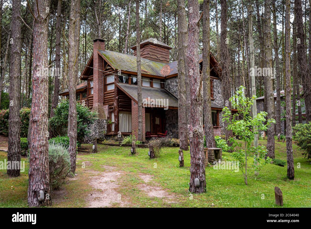 Paisible maison en bois dans la forêt, profondément entourée de grands arbres Banque D'Images