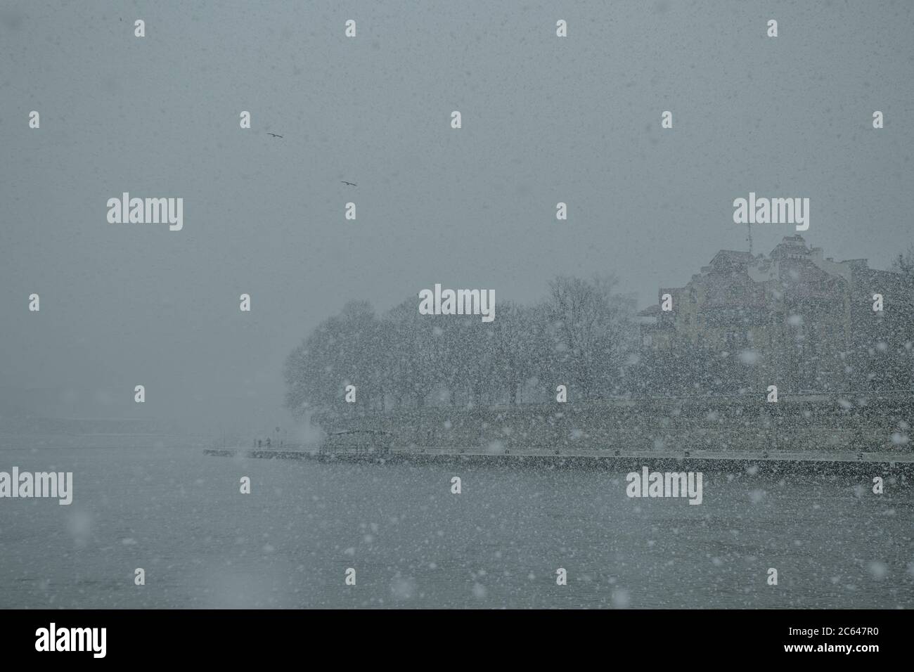La rive de la Vistule dans la ville polonaise de Cracovie avec des bâtiments et des arbres en arrière-plan pendant le blizzard avec de grands flocons de neige Banque D'Images