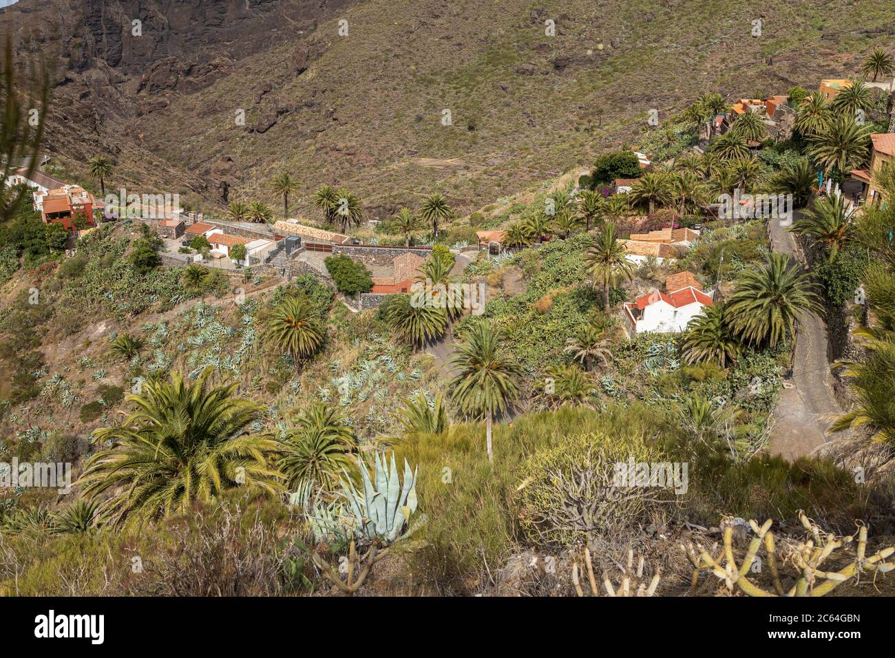 Vues sur le village, tout calme et vide de touristes à la suite du covid 19 verrouillage, Masca, Tenerife, îles Canaries, Espagne Banque D'Images