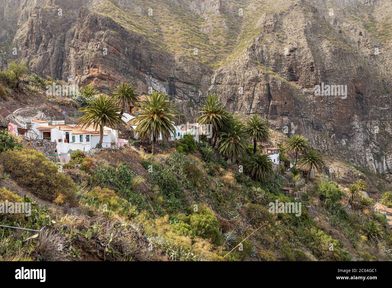 Vues sur le village, tout calme et vide de touristes à la suite du covid 19 verrouillage, Masca, Tenerife, îles Canaries, Espagne Banque D'Images