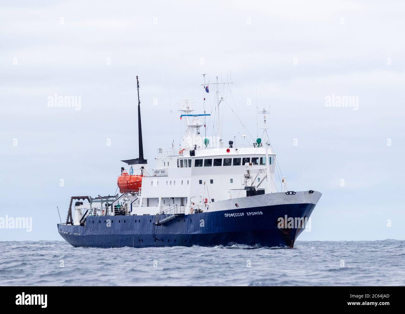 Expédition navire de croisière ‘Spirit of Enderby’ situé au large des Snares, sous-antarctique Nouvelle-Zélande. Banque D'Images
