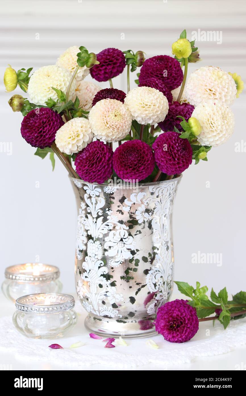 bouquet de fleurs de dahlia blanches et violettes dans un vase vintage Banque D'Images