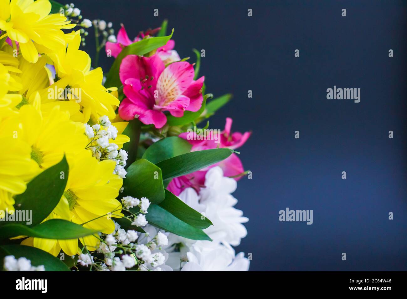 Bouquet lumineux de feuilles vert lys de chrysanthème sur fond sombre gros plan. Fond floral festif avec espace pour le texte en toute occasion. Banque D'Images