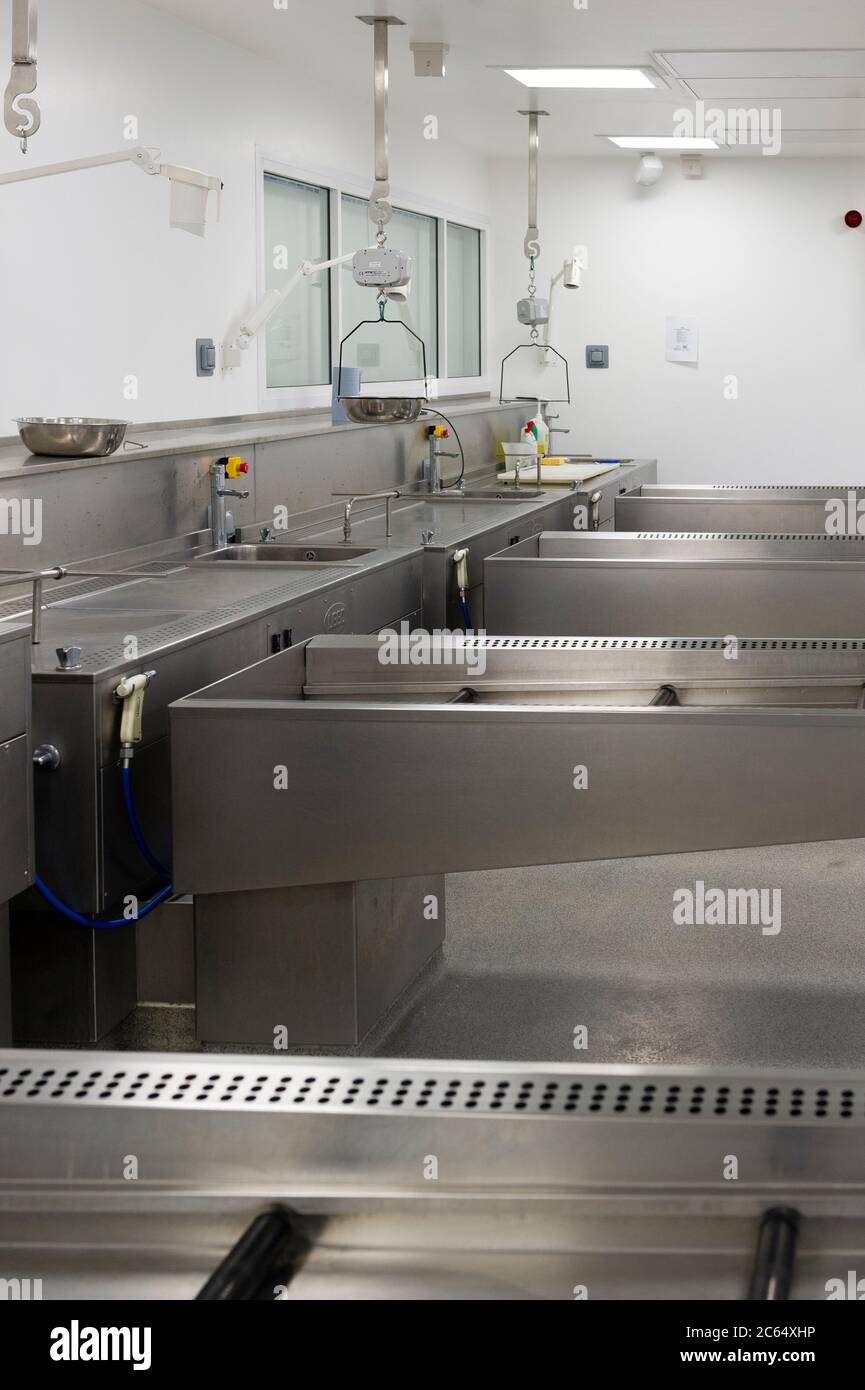 Une morgue d'hôpital moderne préparée pour l'autopsie Banque D'Images