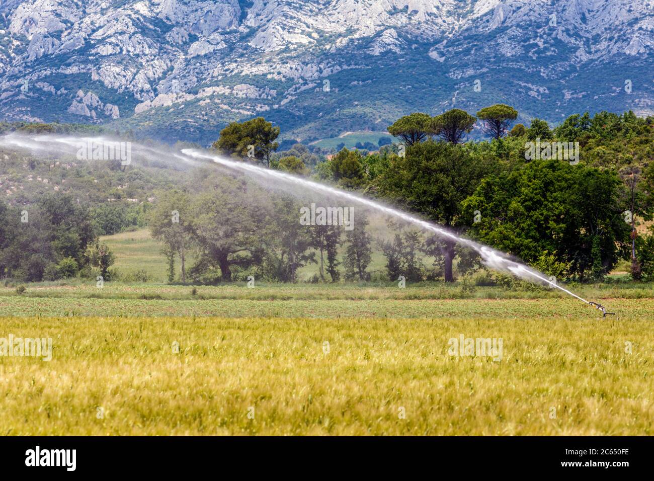 Irriguer les cultures près de Logis de la Colle, Provence, France Banque D'Images