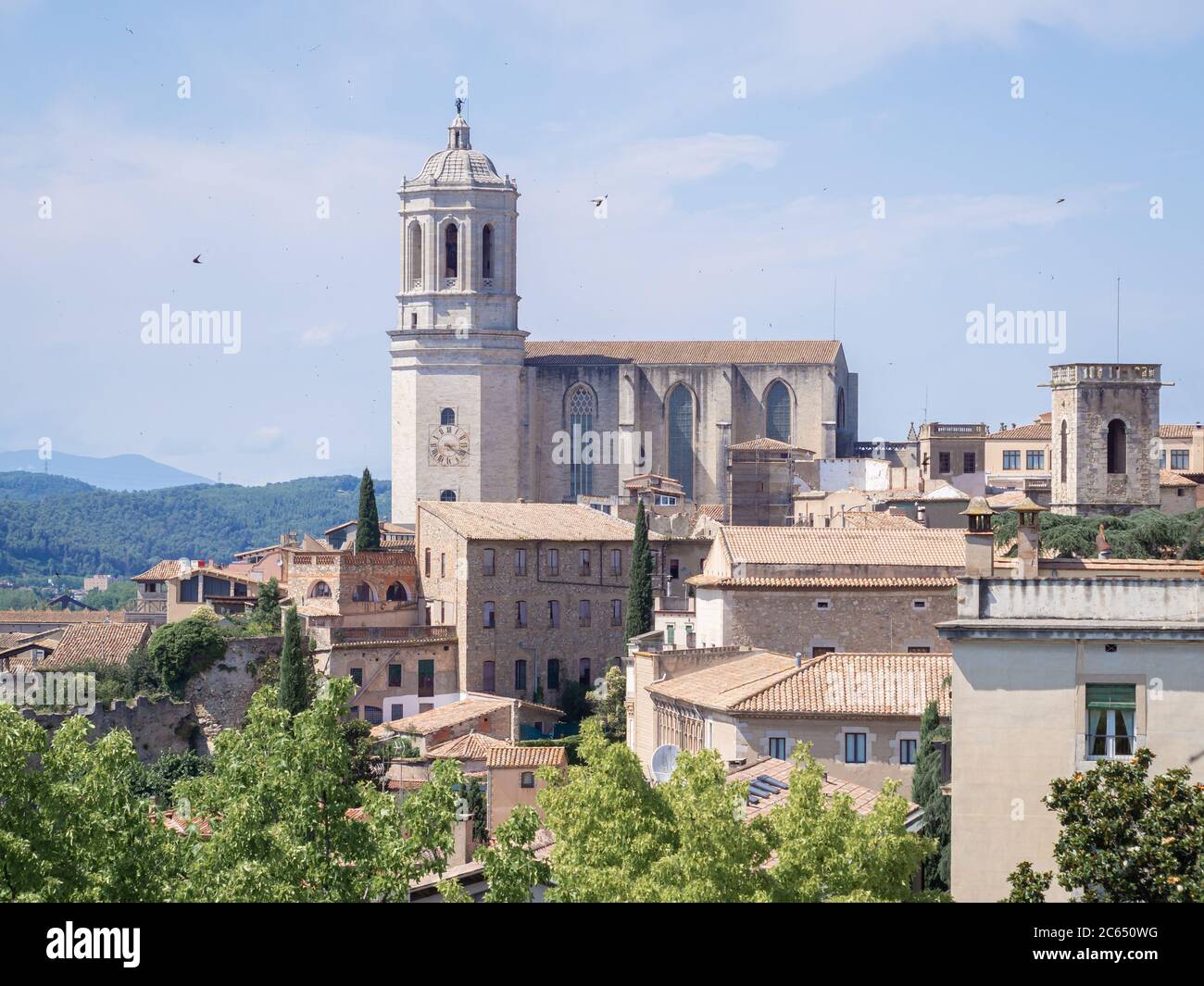 Bâtiment de la cathédrale de Gérone dans la vieille ville de Gérone, Espagne. Vue générale. Banque D'Images