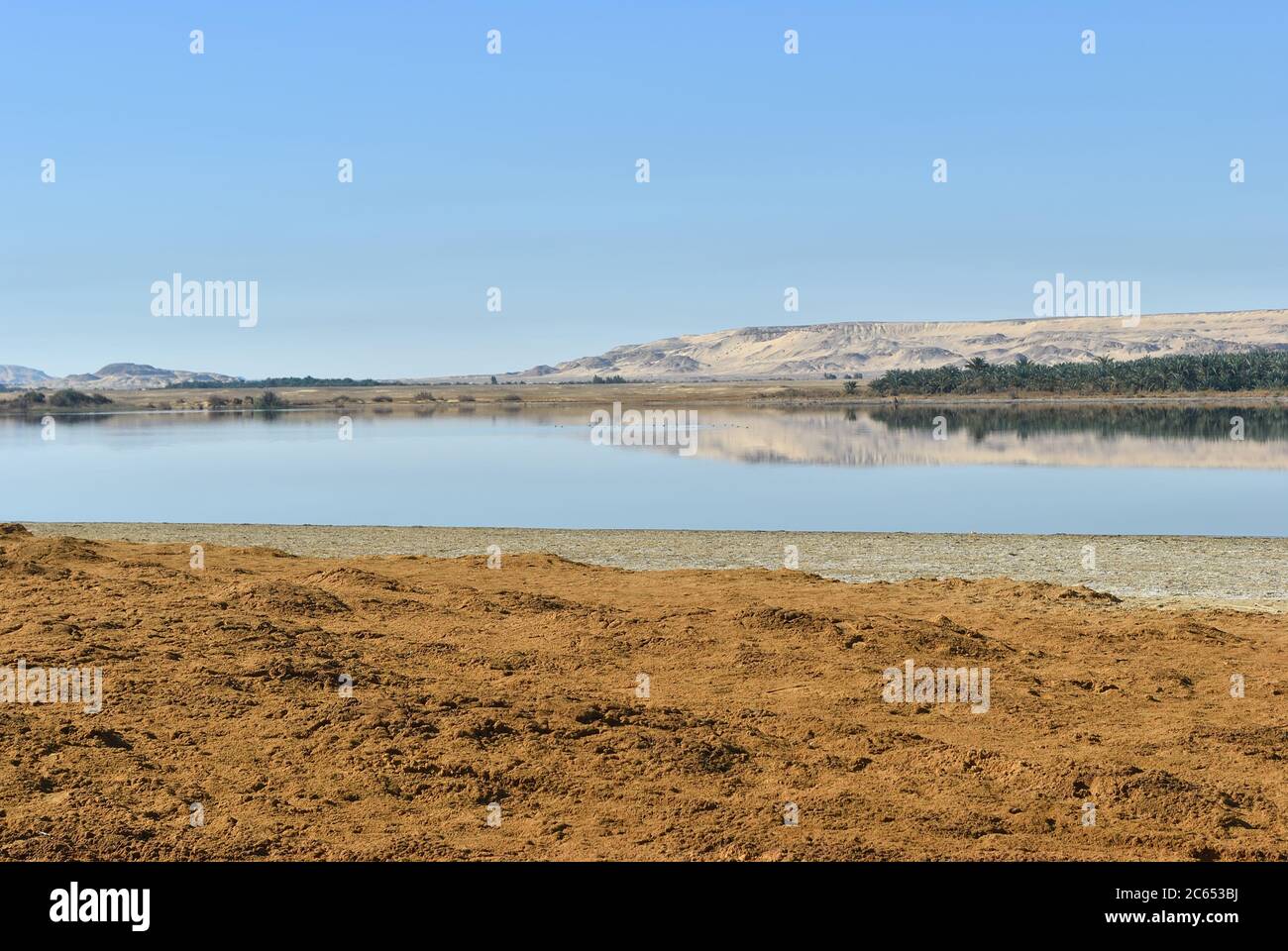 Oasis Al Farafra au Sahara, lac dans le désert. Égypte Banque D'Images