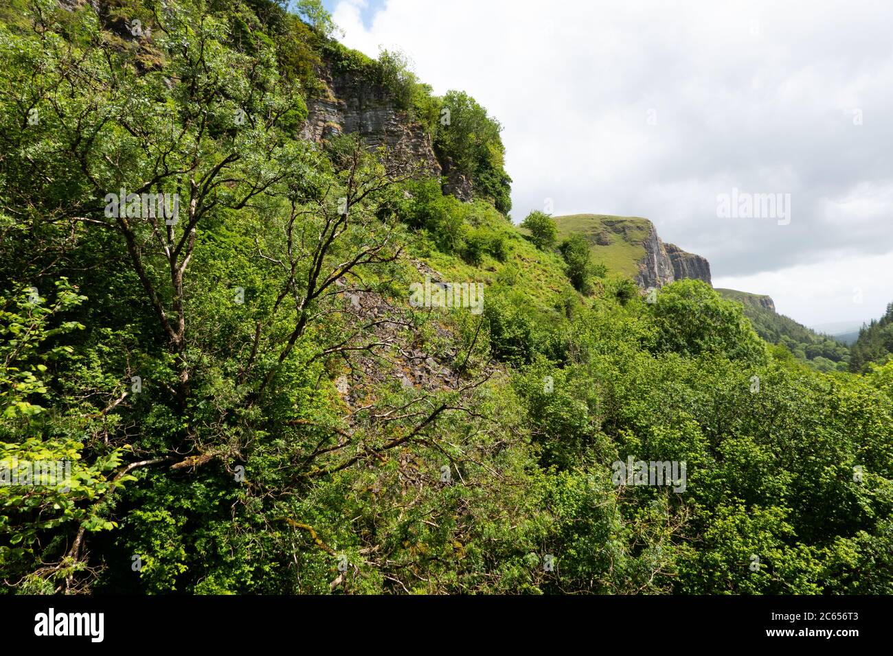 Le magnifique Rock ou Cliff face dans le comté de Sligo Banque D'Images