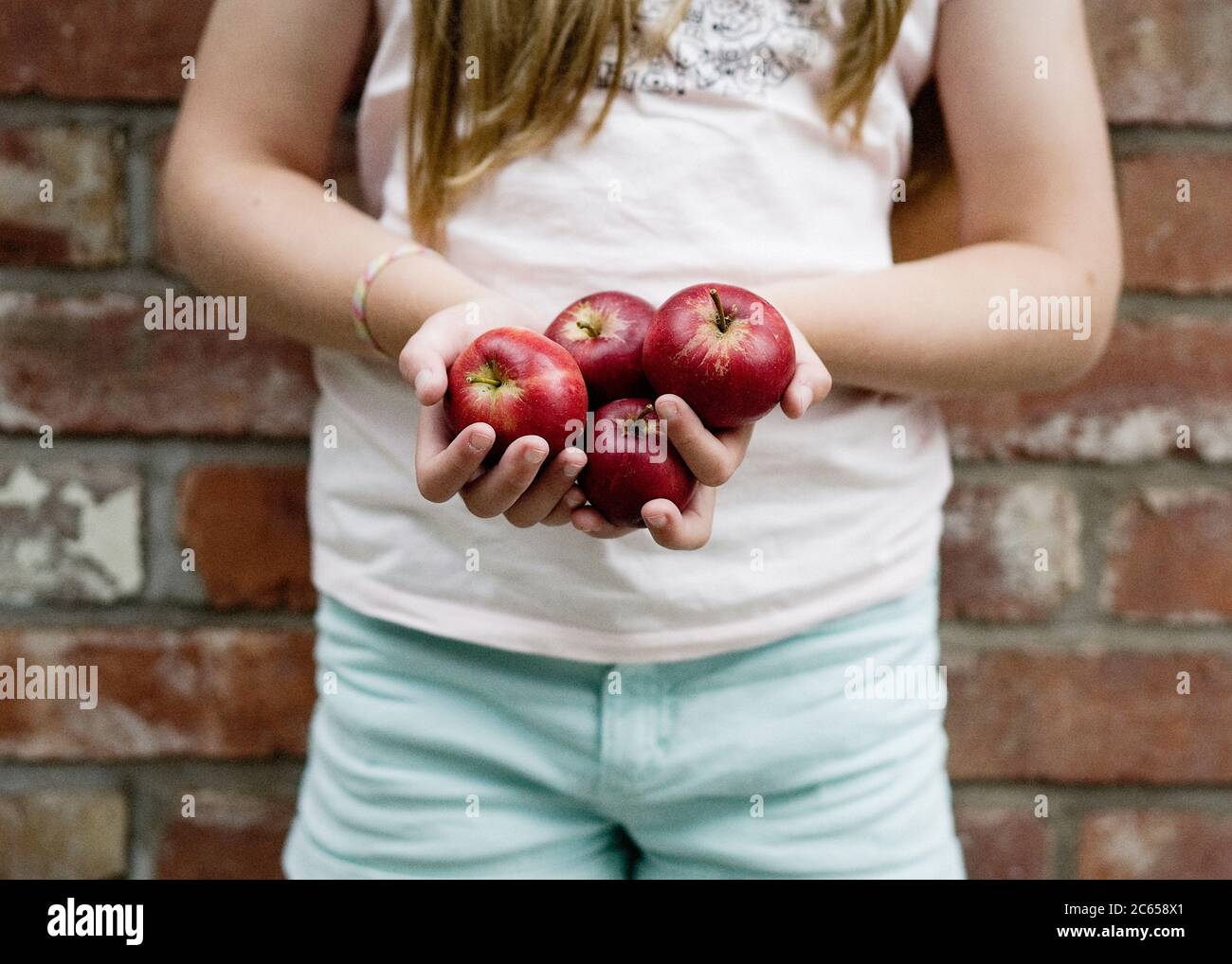 Un enfant tient quatre pommes rouges dans les paumes de ses mains à l'extérieur, dans un éclairage naturel devant un mur de briques. Banque D'Images