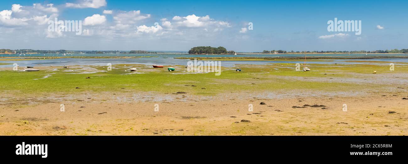 Bretagne, panorama du golfe du Morbihan, vue de l'île d'Ile aux Moines, marée basse Banque D'Images