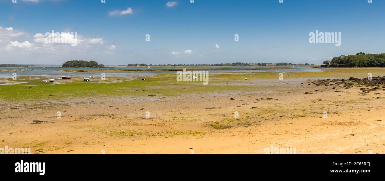 Bretagne, panorama du golfe du Morbihan, vue de l'île d'Ile aux Moines, marée basse Banque D'Images