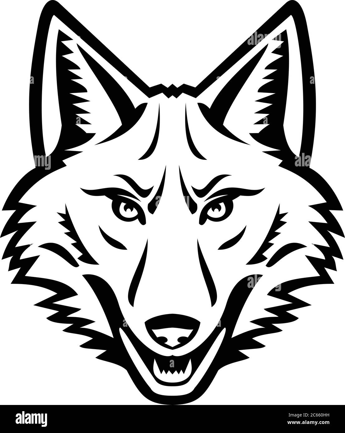 Mascotte noire et blanche, illustration de la tête d'un coyote ou de latrans canis, canine originaire d'Amérique du Nord, vue du front sur un backgroun isolé Illustration de Vecteur