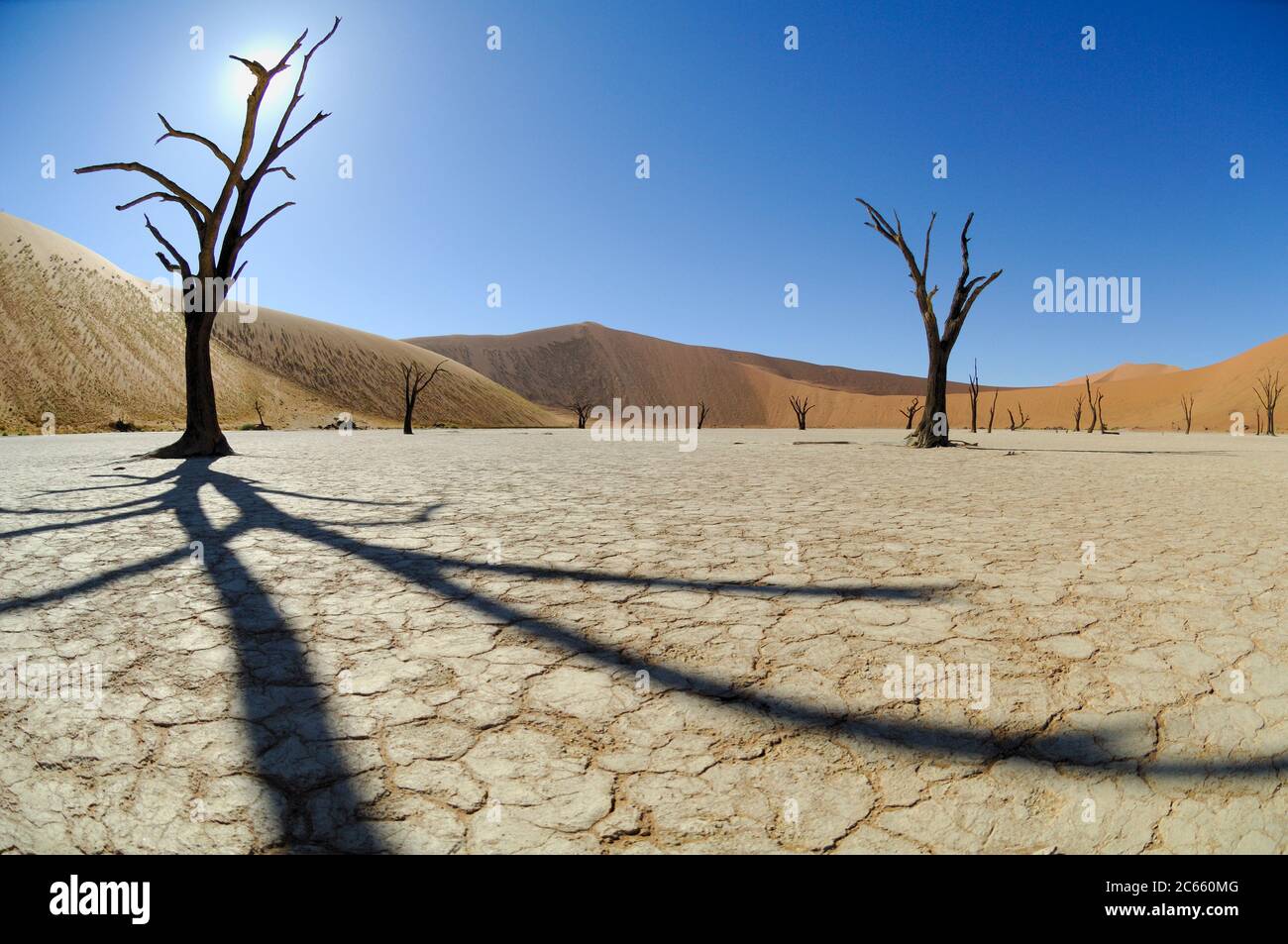 Dune de sable de Sesriem Sossusvlei avec arbres morts, Deadvlei. Salez et séchez les souches d'arbres de 5000 ans Banque D'Images