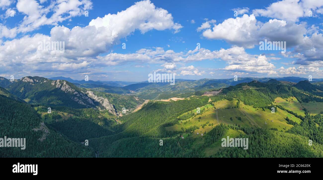Pâturage de montagne et forêt dans les Carpates roumains, paysage d'été Banque D'Images