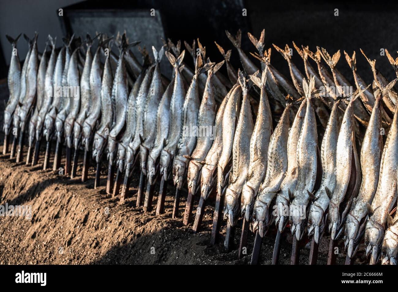 Steckerlfisch' (poisson grillé sur un bâton) à l'Oktoberfest, Munich, Bavière, Allemagne Banque D'Images