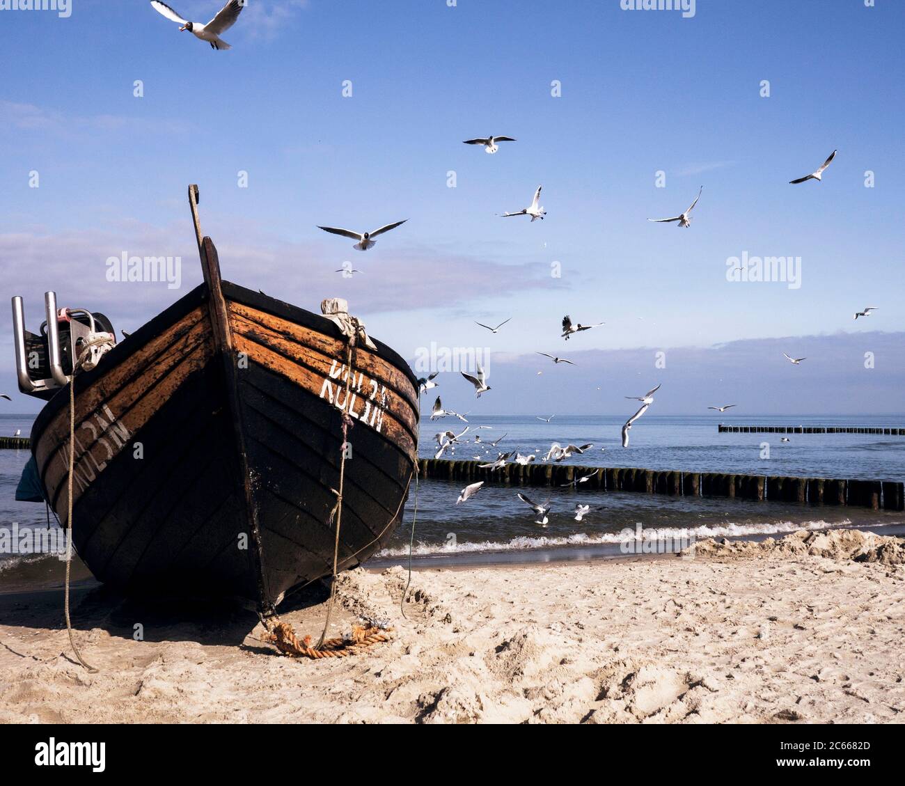 Des goélands encerclent un bateau de pêche sur la plage d'Usedom Banque D'Images