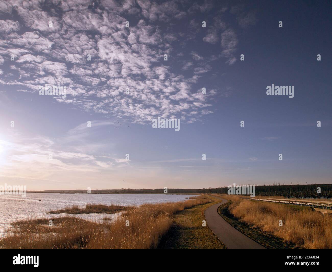 Coucher de soleil sur la Peene près d'Usedom, long-distance piste cyclable Berlin - Usedom Banque D'Images