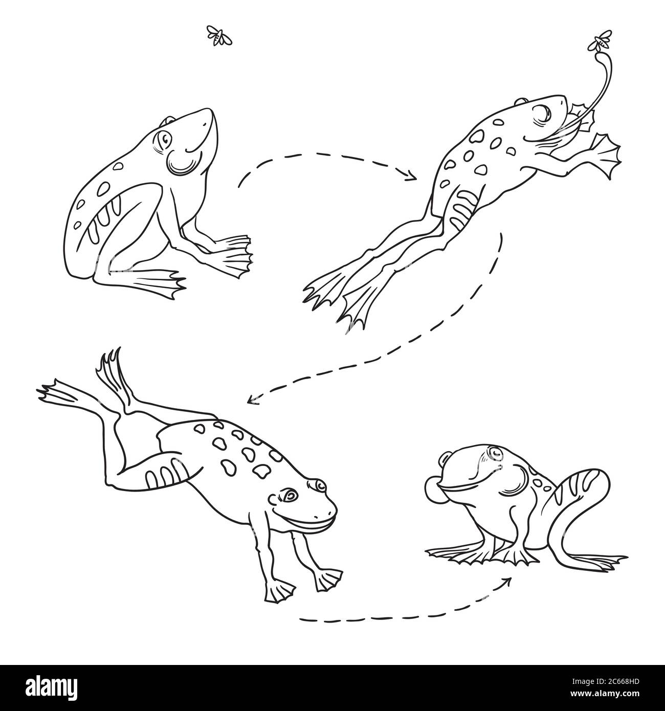 Ensemble de grenouilles mignonnes. Grenouille sauteuse de chasse. La grenouille prend et mange la mouche 4 étages. Illustration de Vecteur