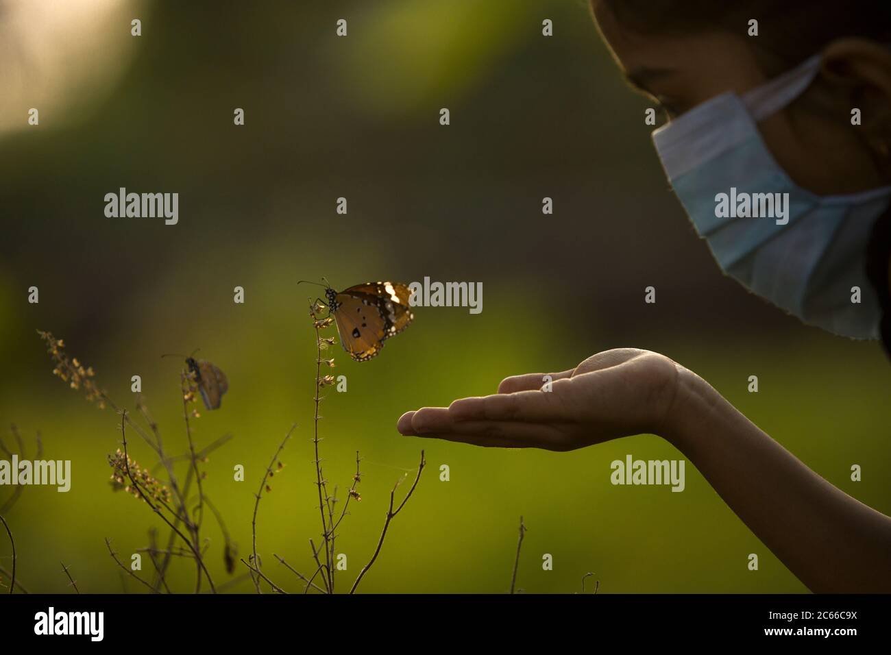 Un enfant essayant de toucher le papillon qui est encore debout sur une plante de basilic sèche à côté d'un papillon flottant, foyer sélectif Banque D'Images
