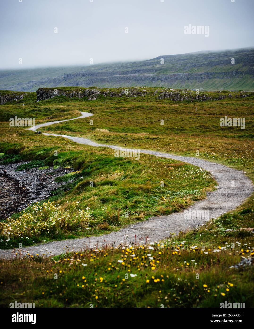 Sentier à travers la péninsule de Vatnsnes, nord de l'Islande, Scandinavie, Europe Banque D'Images