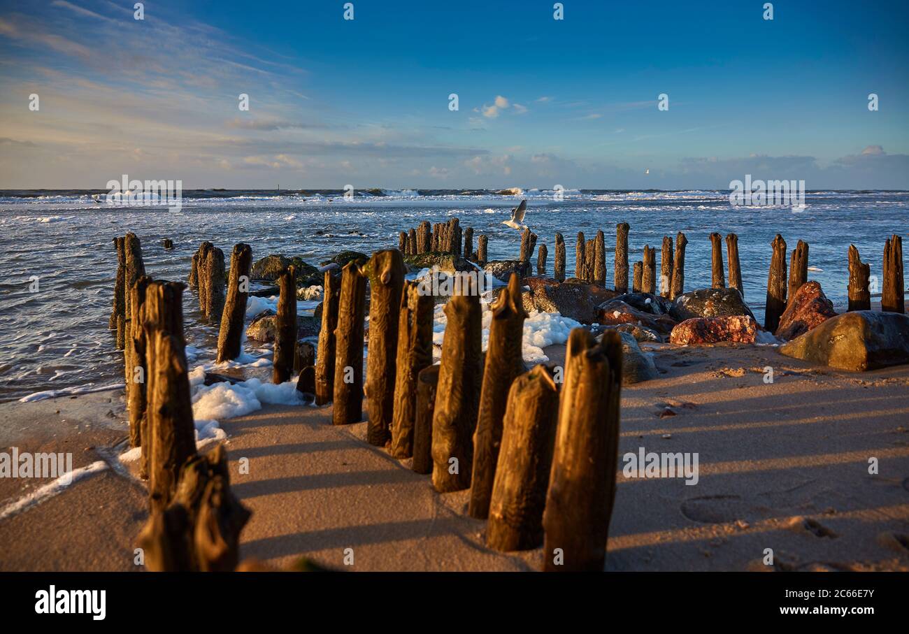 Allemagne, Sylt, Westerland, Mer du Nord, plage, groynes, humeur hivernale Banque D'Images