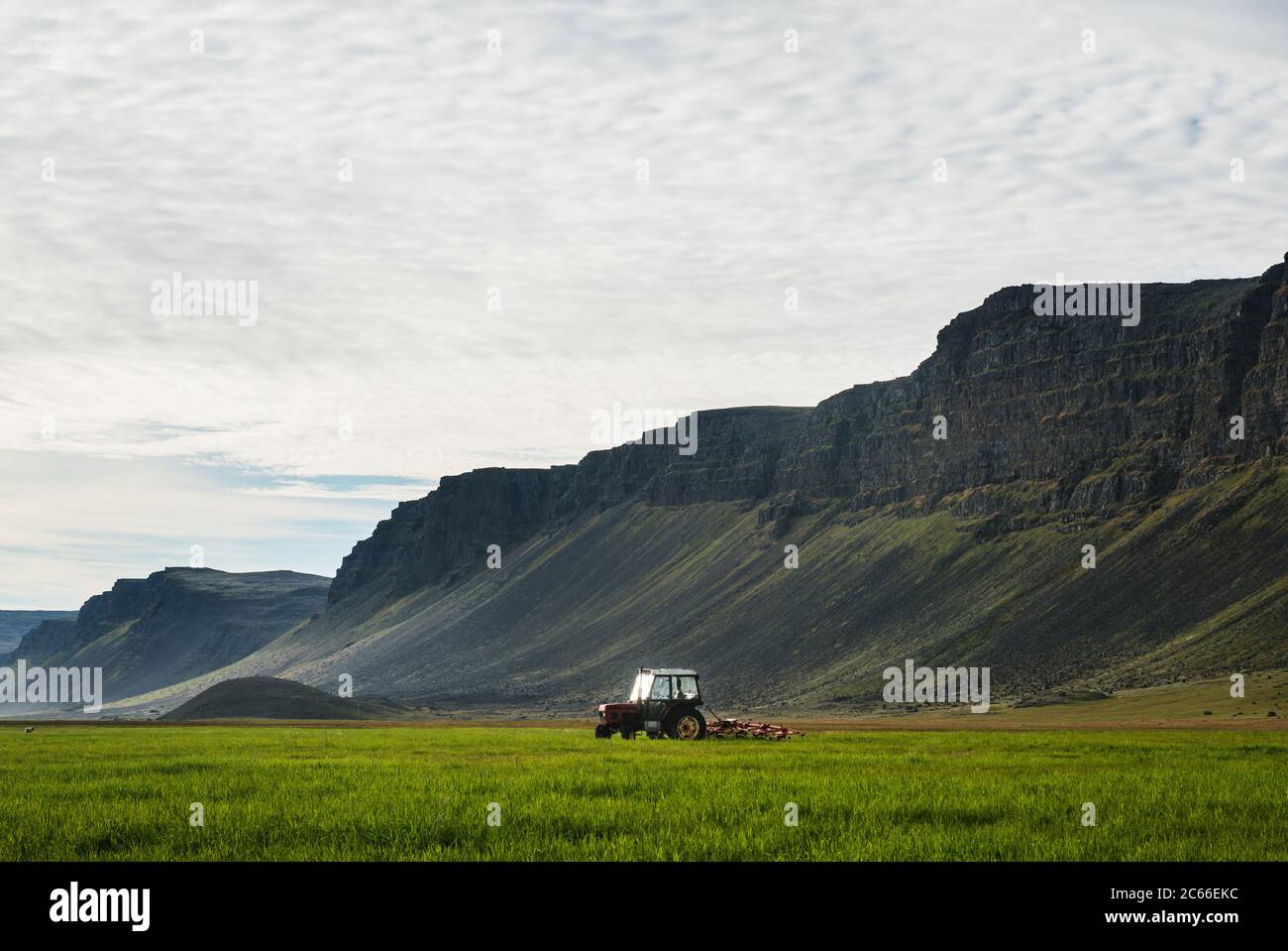 Tracteur sur les terres agricoles des Westfjords, de l'Islande, de la Scandinavie et de l'Europe Banque D'Images