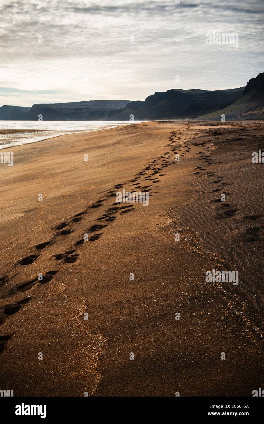 Pas à travers le sable Raudisandur, plage de Rauðasandur dans les Fjords occidentaux Islande, Scandinavie, Islande, Europe Banque D'Images