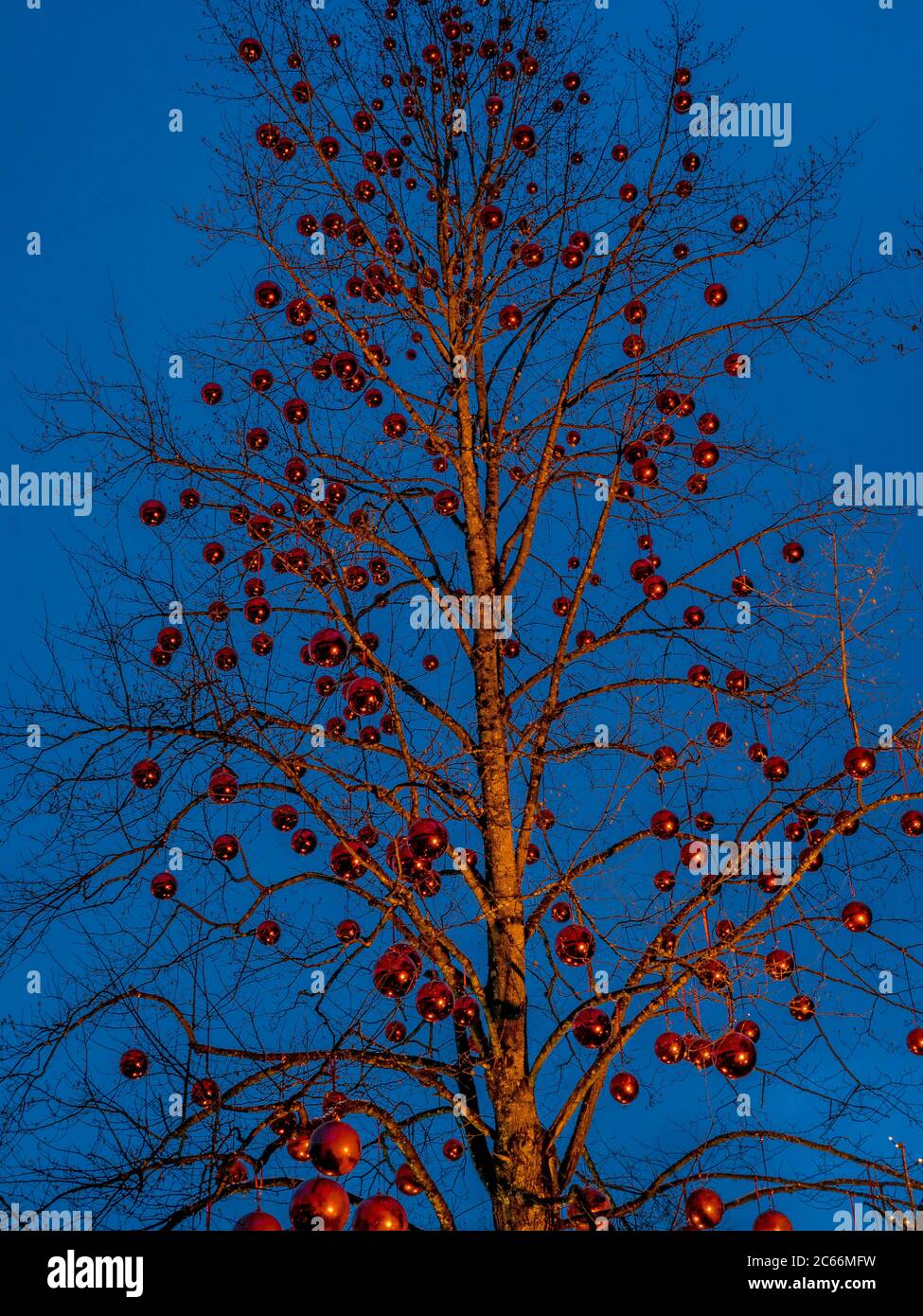 Arbre avec de grandes boules rouges, Christkinglmarkt Schloss Hellbrunn, Hellbrunn Advent Magic, Salzbourg, Autriche, Europe Banque D'Images