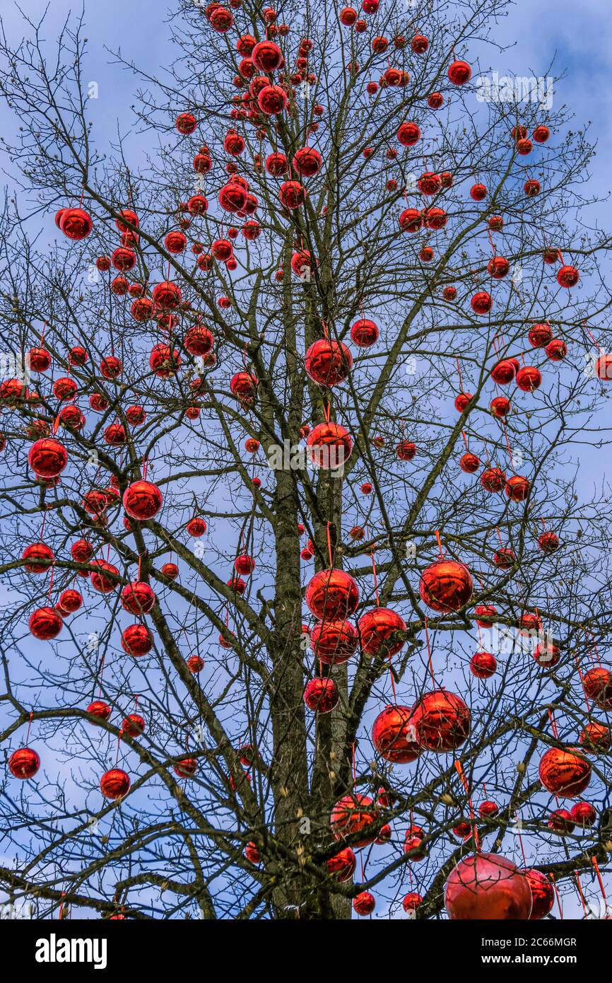 Arbre avec de grandes boules rouges, Christkinglmarkt Schloss Hellbrunn, Hellbrunn Advent Magic, Salzbourg, Autriche, Europe Banque D'Images