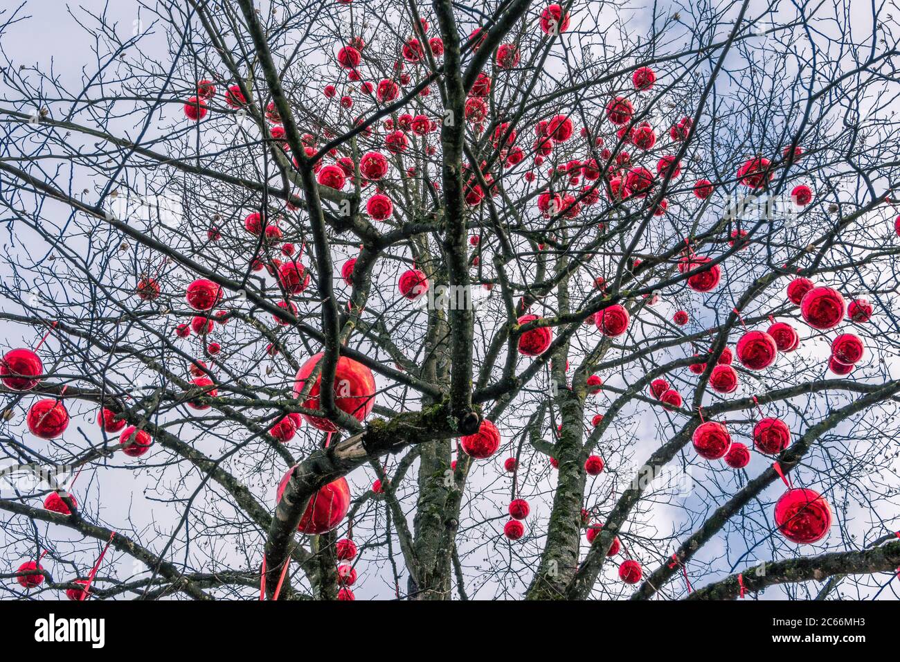Arbre avec de grandes boules rouges, Christkinglmarkt Schloss Hellbrunn, Hellbrunn Advent Magic, Salzbourg, Autriche, Europe Banque D'Images