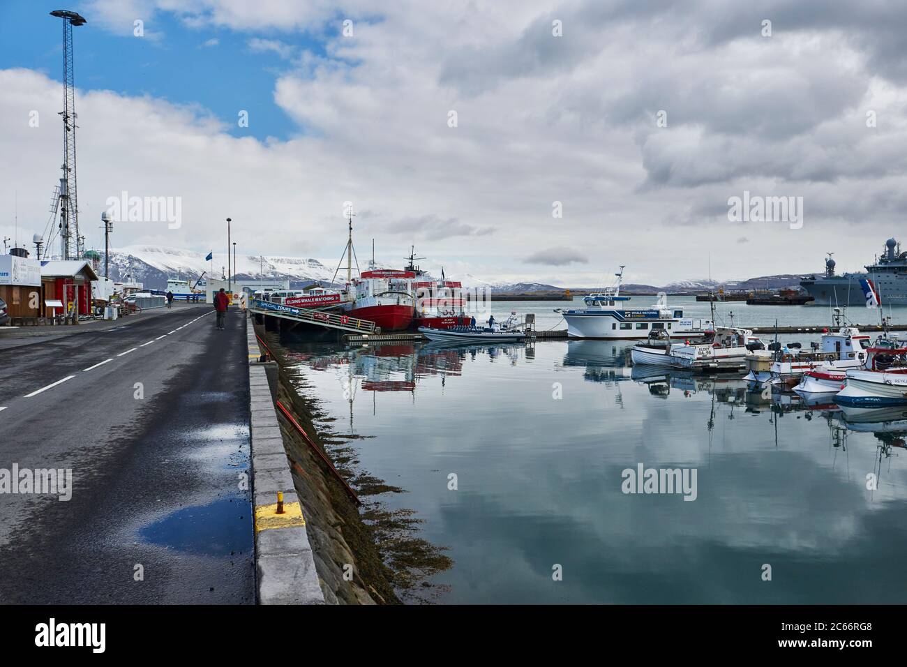 Islande, port de Reykjavik, Boattour, bateaux d'observation des baleines dans le vieux port Banque D'Images